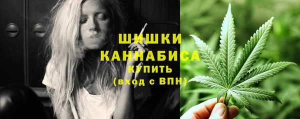 индика Верхний Тагил